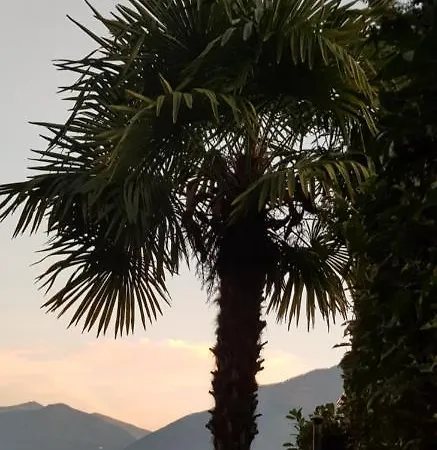 Apartment Seesicht Tessin Nahe Locarno Tenero Wintergarten *