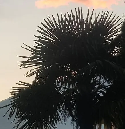 Seesicht Tessin Nahe Locarno Tenero Wintergarten Appartement Minusio
